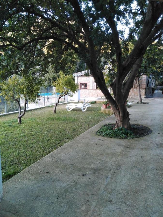 La Fuente De El Nacimiento Guest House Benamahoma Exterior photo