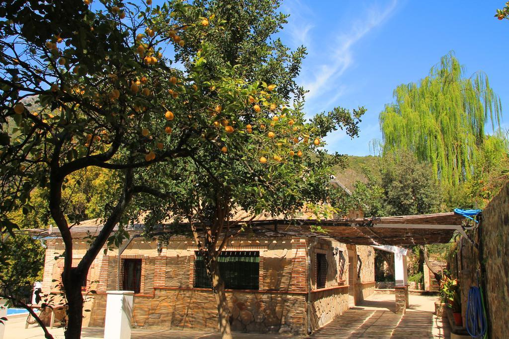 La Fuente De El Nacimiento Guest House Benamahoma Exterior photo